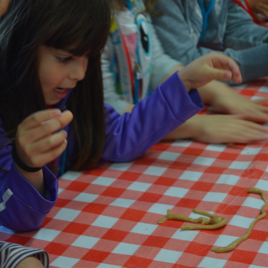 GRANJA ESCUELA ALBITANA 2018 17