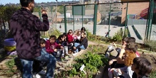2019_02_24_Quinto termina febrero con las actividades de huerto_CEIP FDLR_Las Rozas_2019 3