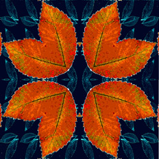 Disposición radial otoñal