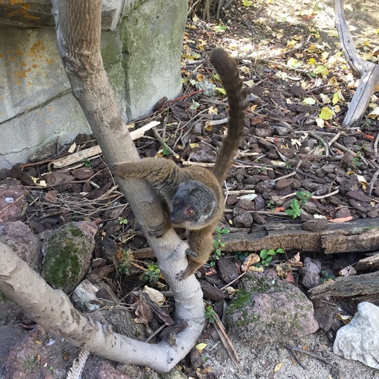 Faunia: taller y visita guiada 5