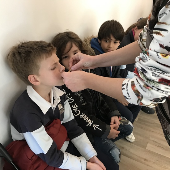 2020_02_27_3º visita Insectpark (3)_CEIP FDLR_Las Rozas 20