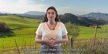 Vídeo subtitulado "Los animales"