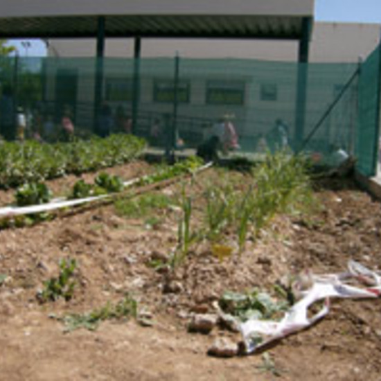 Huerto Escolar