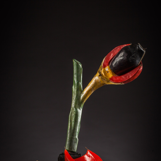 IES_ISABELLACATOLICA_BIOLOGIA_161