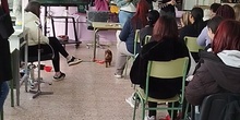 Peluquería Canina