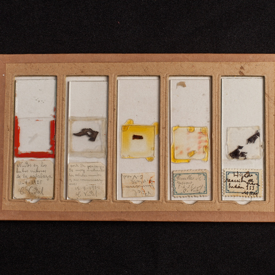 IES_ISABELLACATOLICA_BIOLOGIA_205