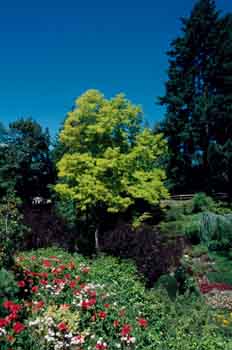 Jardines en Vancouver, Canadá