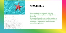 Semana 6