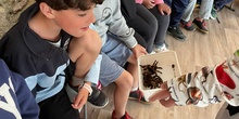 Tercero C visita el Insect Park_CEIP FDLR_Las Rozas