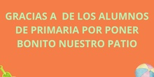 MEJORAMOS NUESTRO PATIO