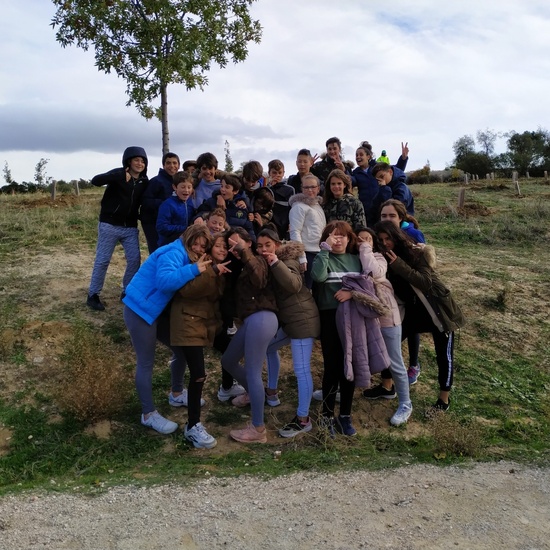 Plantación en el parque forestal de Valdebebas 2019 4