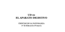 UD 01 - El aparato digestivo
