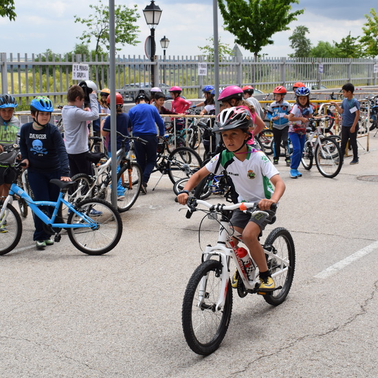 Educación Vial 3º primaria 1
