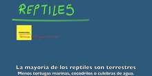 REPTILES
