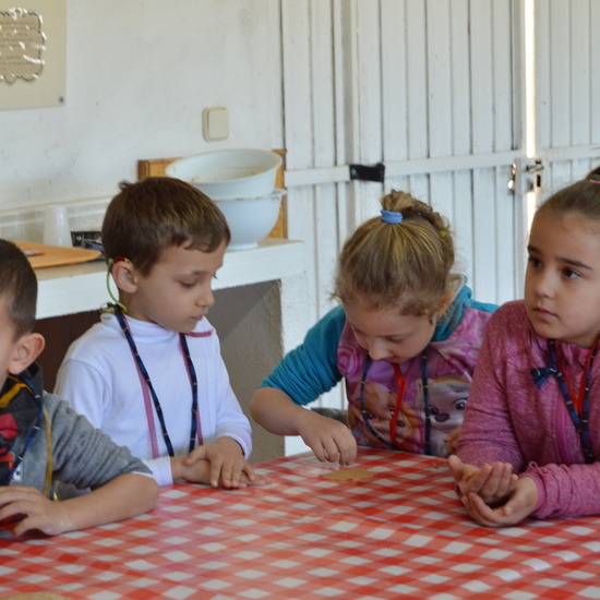 GRANJA ESCUELA ALBITANA 2018 7