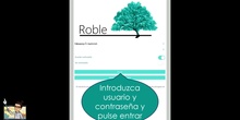 Roble para familias -  Faltas de asistencia