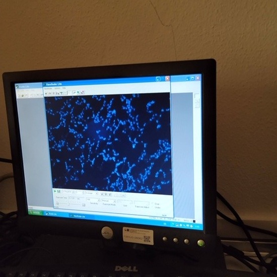 2019-11-29 visita alumnos 1º bto semana de la ciencia 14