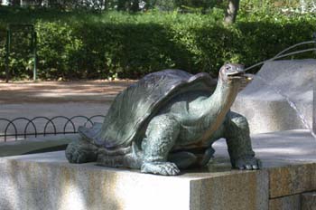 Tortuga