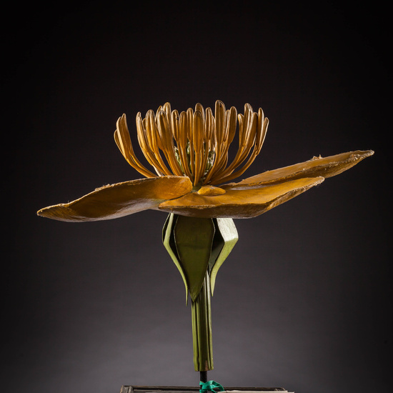 IES_SANISIDRO_MUSEO_Botanica_013