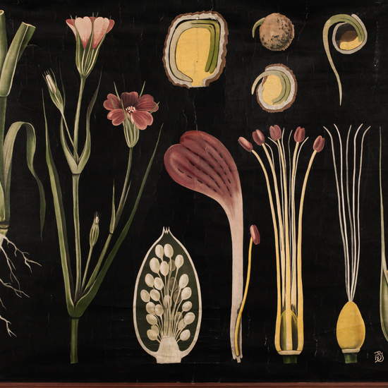 IES_LOPEDEVEGA_CIENCIASNATURALES_038