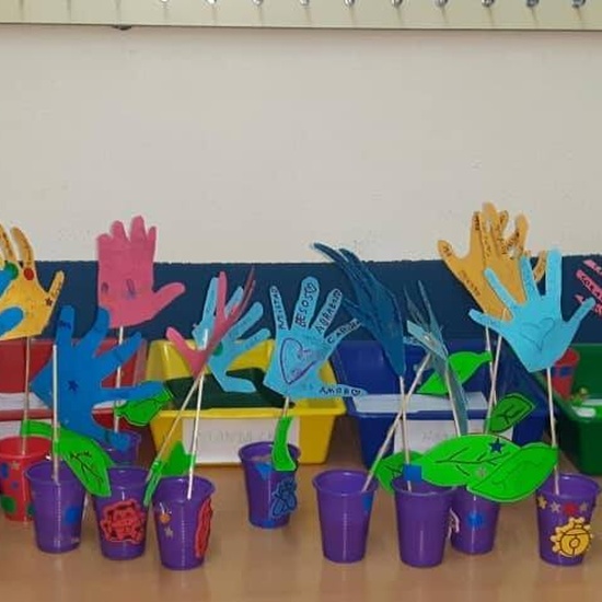 INVERNADEROS PARA LA PAZ 2