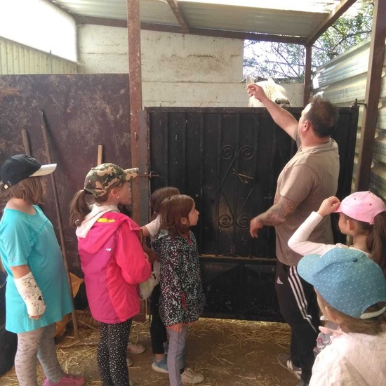 SALIDA A NUESTRO ENTORNO 12