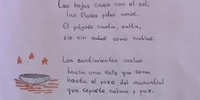 Video poema Ángel