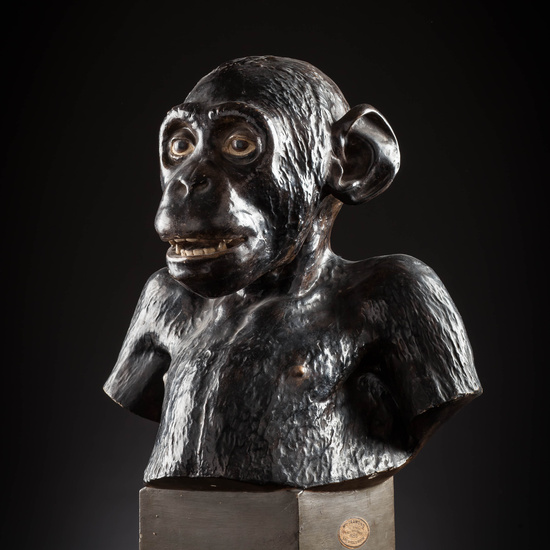 IES_SANISIDRO_MUSEO_Zoolgía_087