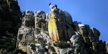 Roquedo - Parque de Monfragüe, Cáceres