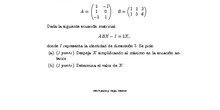 Matrices y Determinantes - Examen A 