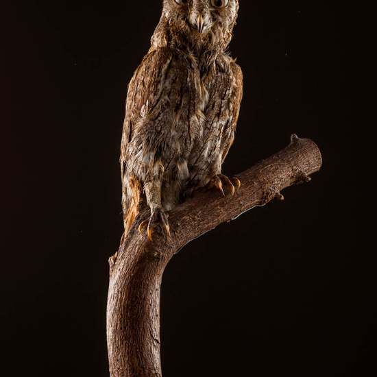 IES_ISABELLACATOLICA_BIOLOGIA_543