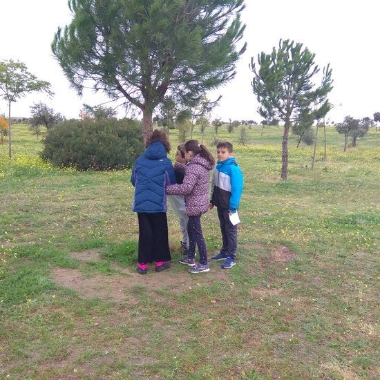 REVOLOTEANDO POR BOSQUE SUR -  3º PRIMARIA (CURSO 19/20) 19