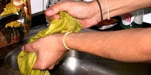 Manos escurriendo bayeta de cocina