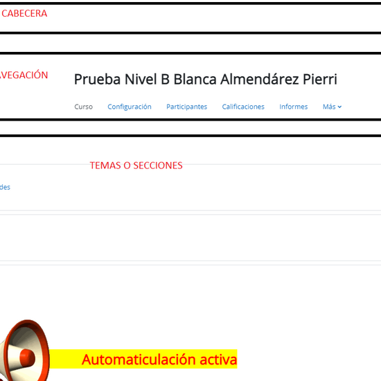 Estructura Aula Virtual