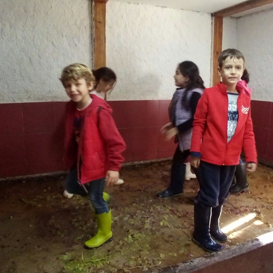 Granja Escuela 1º y 2º EP 2017-18 16