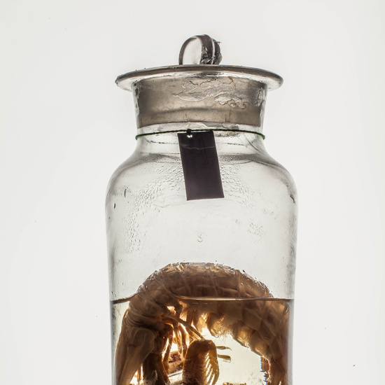 IES_CARDENALCISNEROS_CIENCIASNATURALES_011