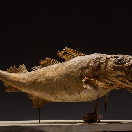 IES_SANISIDRO_BIOLOGIA_382