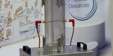 Combustión de polvo