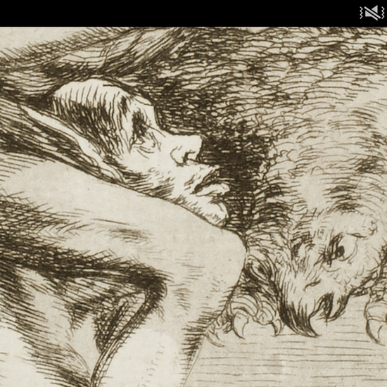 Los Caprichos en detalles apaisados 48