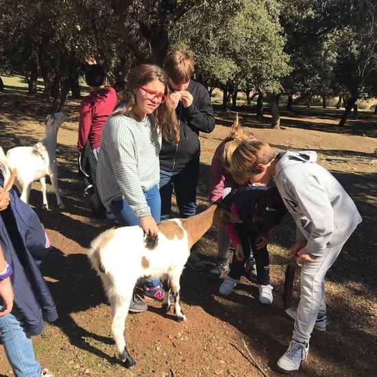 Mohernando 2017_4 44