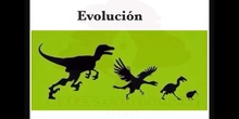 SECUNDARIA 4º - LA TEORÍA DE LA EVOLUCIÓN - BIOLOGÍA