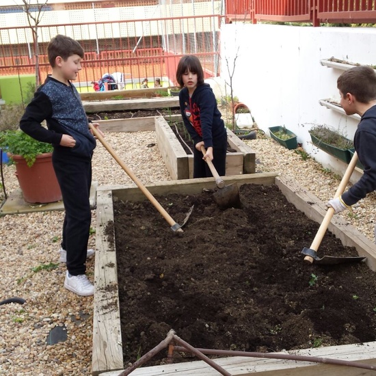 TRABAJANDO EN EL HUERTO 4