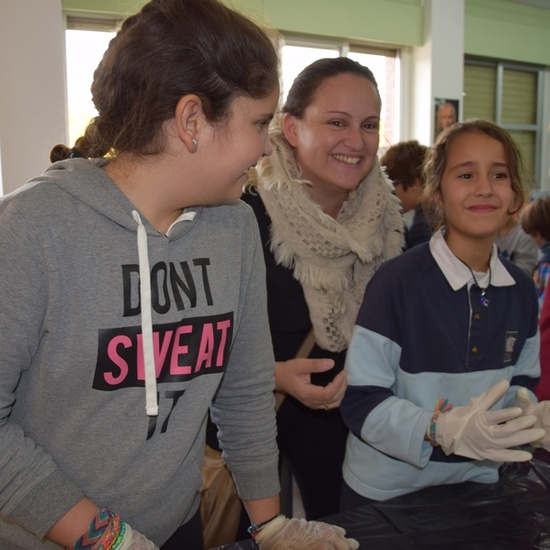 2016_11_DISECCIÓN DEL CRÁNEO Y OJO DE UN CORDERO_SEXTO 12