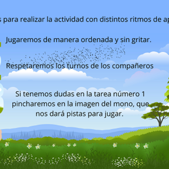 instrucciones para realizar la actividad