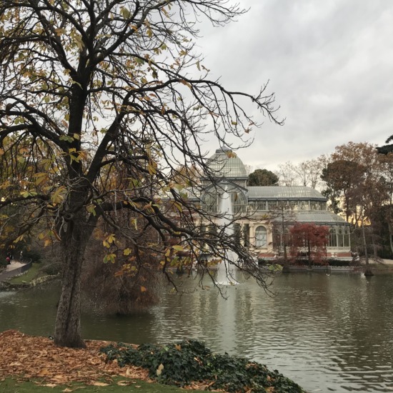 Jorge Crisóstomo STI2M concurso fotografía Satafi foto 1