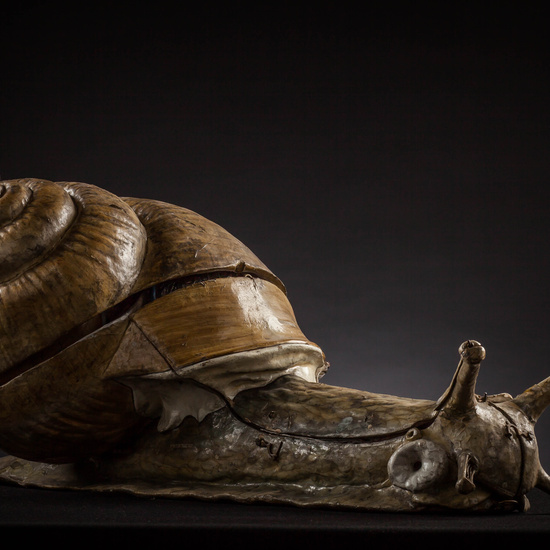 IES_CARDENALCISNEROS_ZOOLOGIA_II_MODELOS_002