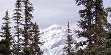 Monte Sulphur, Parque Nacional Banff