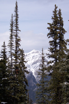 Monte Sulphur, Parque Nacional Banff