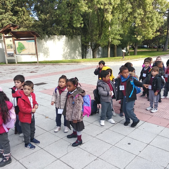 Visita al zoo 2019 2