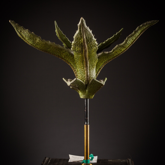 IES_SANISIDRO_BIOLOGIA_262